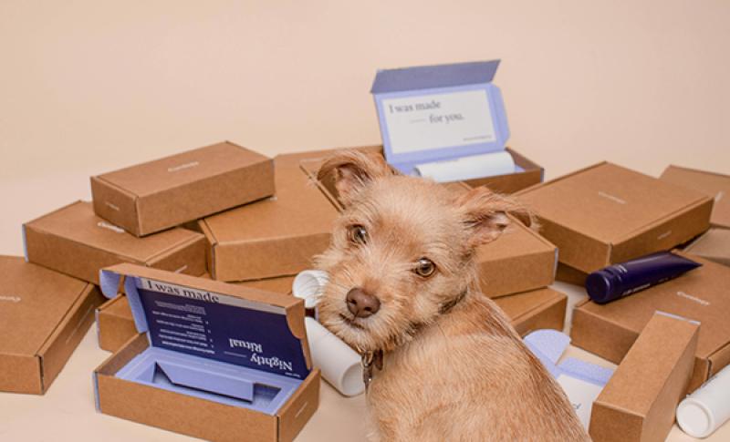 Dog subscribing to deliveries. West Financial Services.