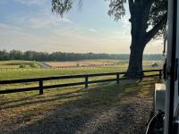Looking over farmland