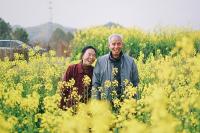 Couple walking through a field. West Financial Services.