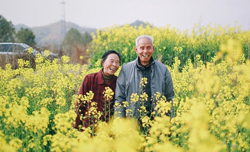 Couple walking through a field. West Financial Services.