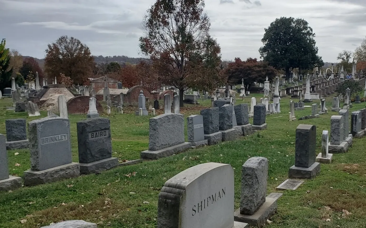 Peaceful cemetery with rows of headstones on a grassy hill surrounded by trees under a cloudy sky.