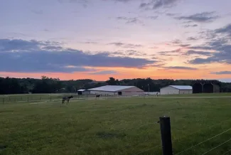 Peaceful farm scene at sunset with open grassy fields, a few horses grazing, and several barns and sheds under a colorful evening sky.